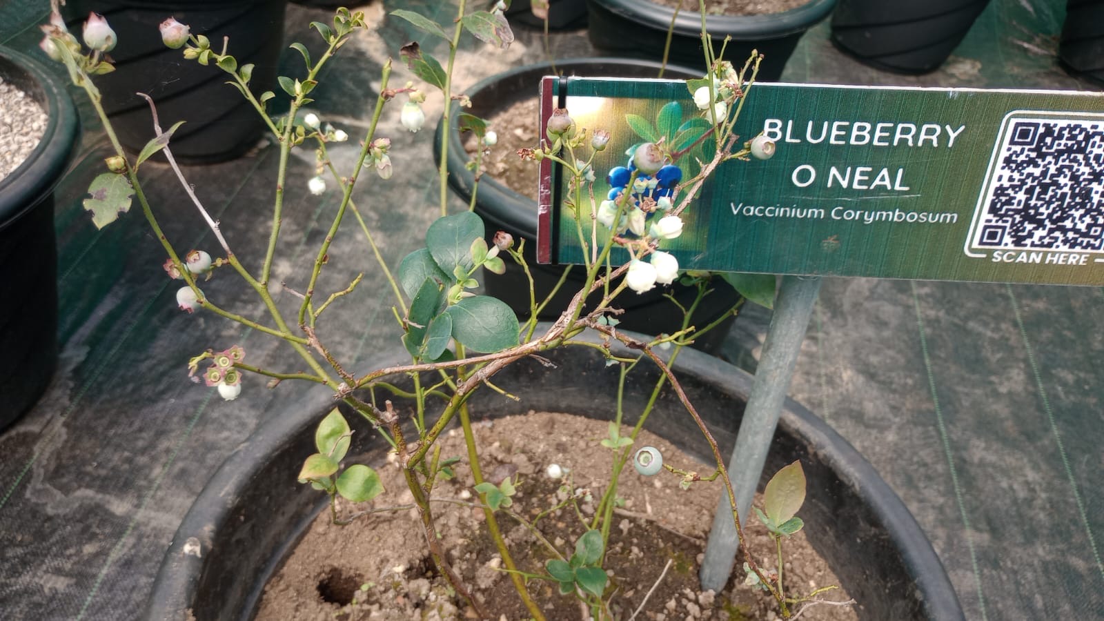 Comfortable resort rooms with valley views