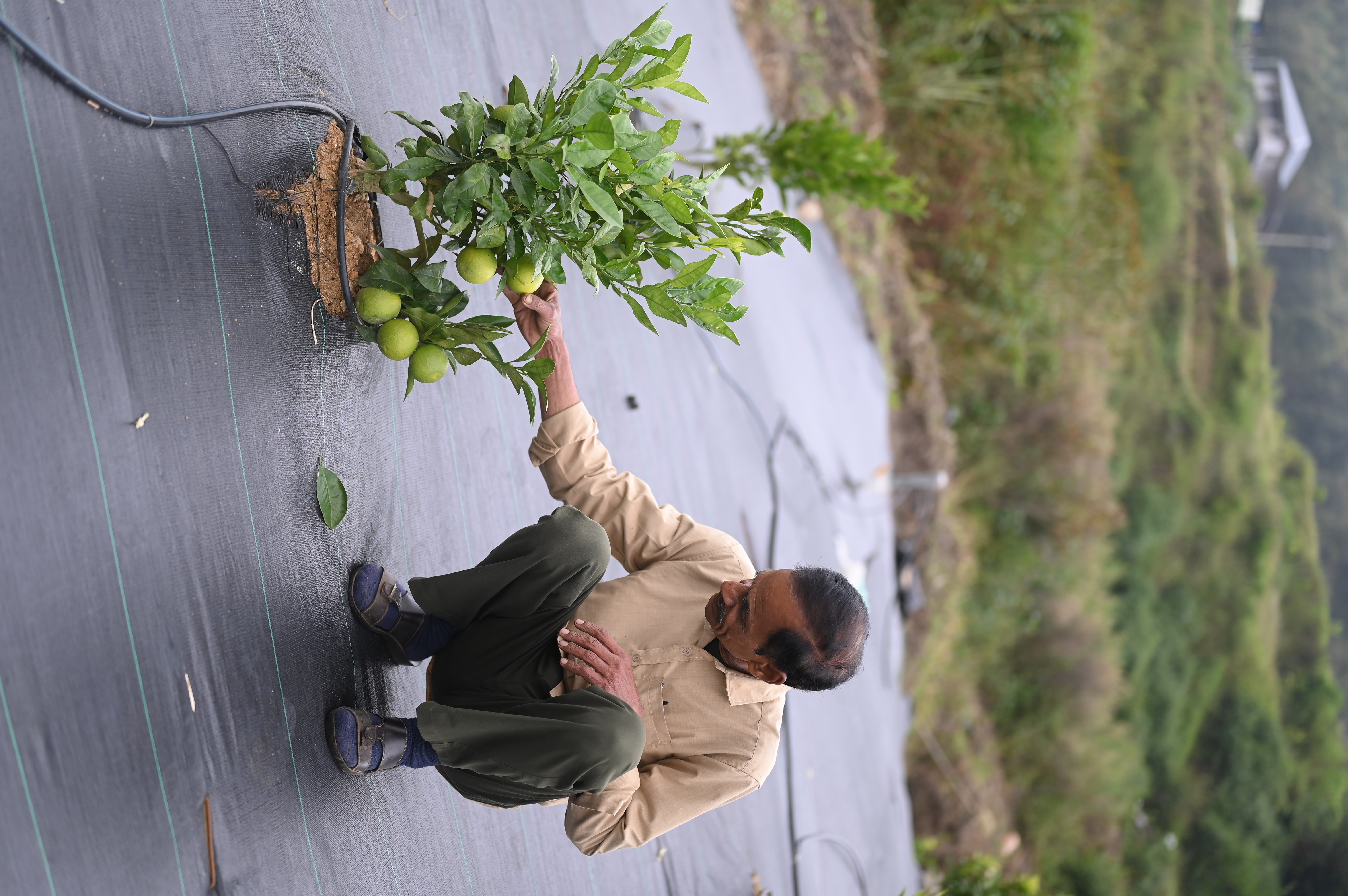 Traditional Kerala architecture details