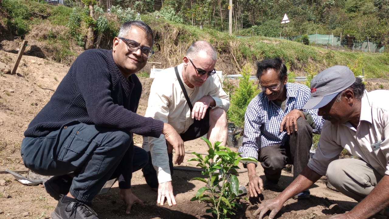 Local artisan crafts and products