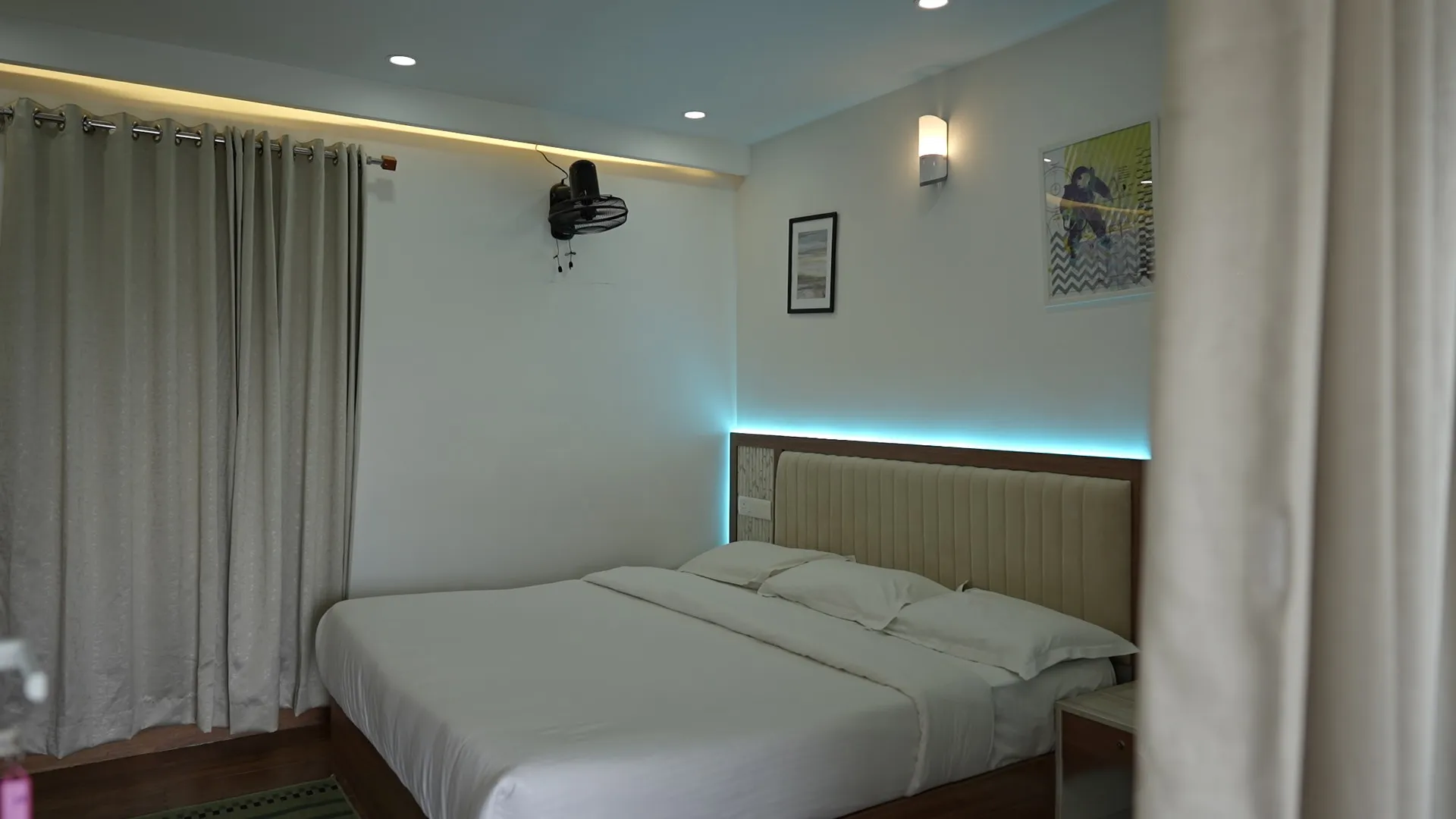 Fresh organic vegetables from the farm