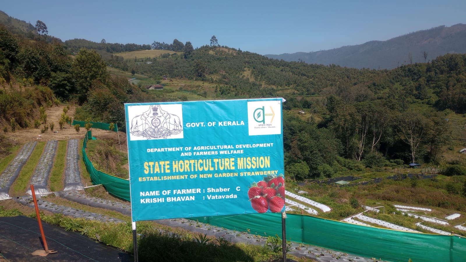 Luxury farm accommodations surrounded by nature